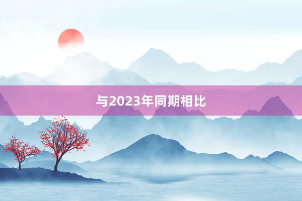 与2023年同期相比