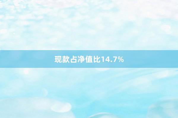 现款占净值比14.7%