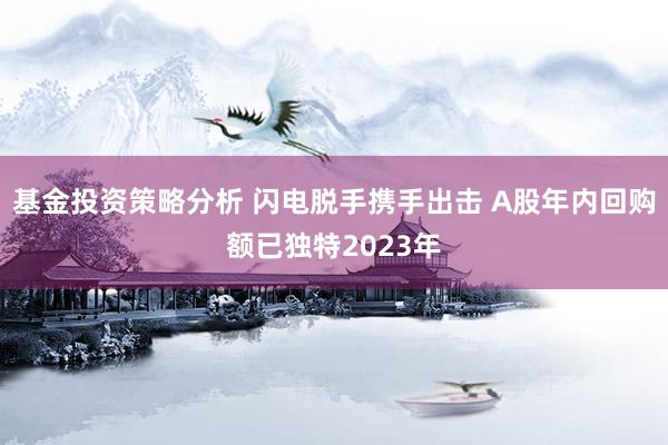 基金投资策略分析 闪电脱手携手出击 A股年内回购额已独特2023年