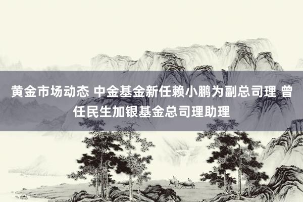 黄金市场动态 中金基金新任赖小鹏为副总司理 曾任民生加银基金总司理助理