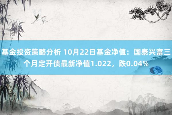 基金投资策略分析 10月22日基金净值：国泰兴富三个月定开债最新净值1.022，跌0.04%