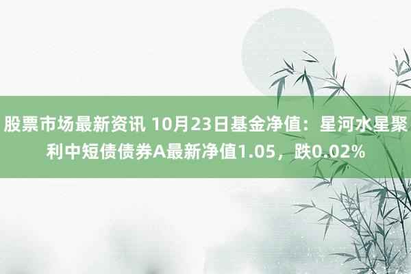 股票市场最新资讯 10月23日基金净值：星河水星聚利中短债债券A最新净值1.05，跌0.02%