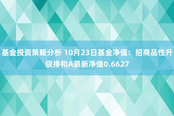 基金投资策略分析 10月23日基金净值：招商品性升级搀和A最新净值0.6627