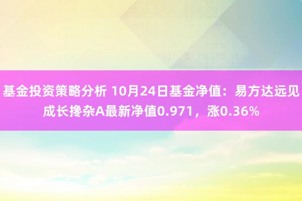 基金投资策略分析 10月24日基金净值：易方达远见成长搀杂A最新净值0.971，涨0.36%