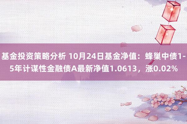 基金投资策略分析 10月24日基金净值：蜂巢中债1-5年计谋性金融债A最新净值1.0613，涨0.02%