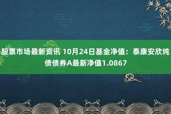 股票市场最新资讯 10月24日基金净值：泰康安欣纯债债券A最新净值1.0867