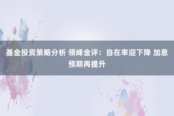 基金投资策略分析 领峰金评：自在率迎下降 加息预期再提升