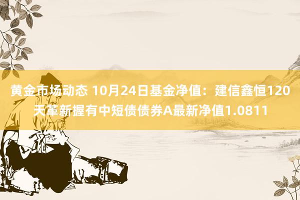 黄金市场动态 10月24日基金净值：建信鑫恒120天革新握有中短债债券A最新净值1.0811