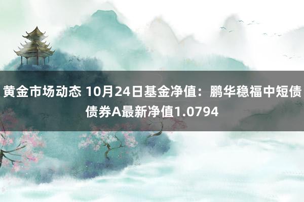 黄金市场动态 10月24日基金净值：鹏华稳福中短债债券A最新净值1.0794