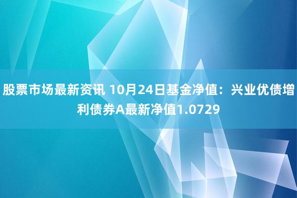 股票市场最新资讯 10月24日基金净值：兴业优债增利债券A最新净值1.0729