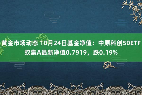 黄金市场动态 10月24日基金净值：中原科创50ETF蚁集A最新净值0.7919，跌0.19%