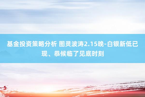 基金投资策略分析 图灵波涛2.15晚-白银新低已现、恭候临了见底时刻