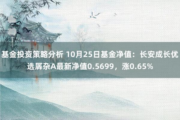 基金投资策略分析 10月25日基金净值：长安成长优选羼杂A最新净值0.5699，涨0.65%