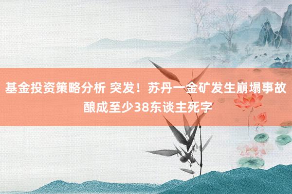 基金投资策略分析 突发！苏丹一金矿发生崩塌事故 酿成至少38东谈主死字