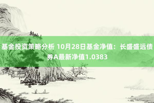 基金投资策略分析 10月28日基金净值：长盛盛远债券A最新净值1.0383