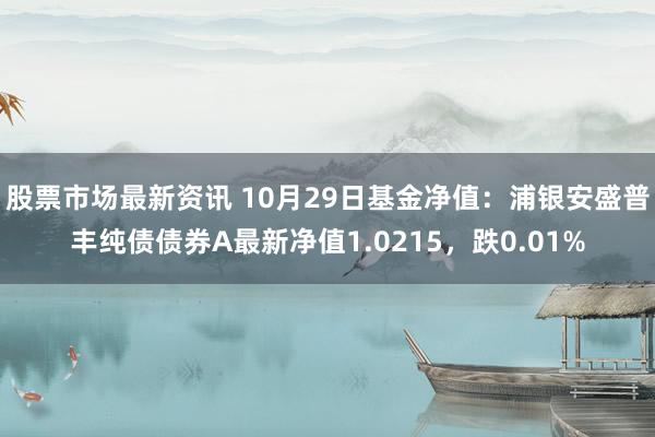 股票市场最新资讯 10月29日基金净值：浦银安盛普丰纯债债券A最新净值1.0215，跌0.01%