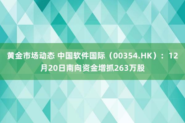 黄金市场动态 中国软件国际（00354.HK）：12月20日南向资金增抓263万股