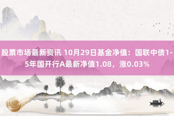 股票市场最新资讯 10月29日基金净值：国联中债1-5年国开行A最新净值1.08，涨0.03%