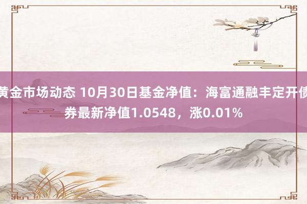 黄金市场动态 10月30日基金净值：海富通融丰定开债券最新净值1.0548，涨0.01%