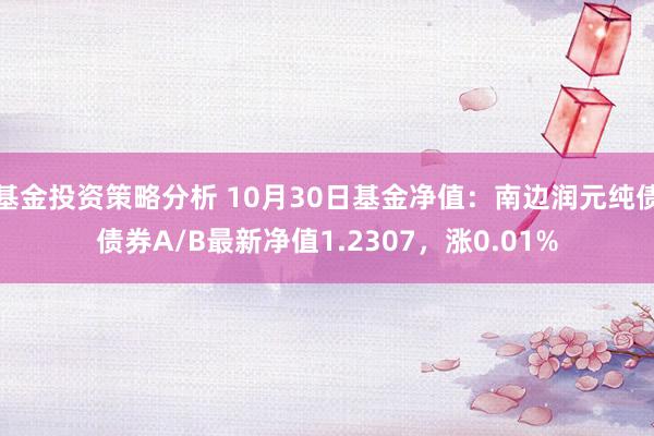 基金投资策略分析 10月30日基金净值：南边润元纯债债券A/B最新净值1.2307，涨0.01%