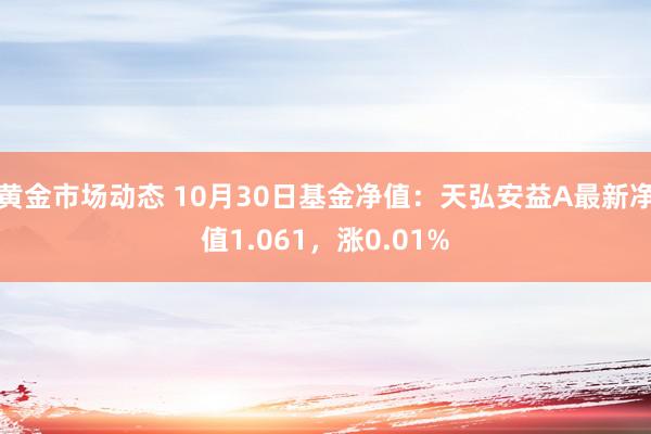 黄金市场动态 10月30日基金净值：天弘安益A最新净值1.061，涨0.01%