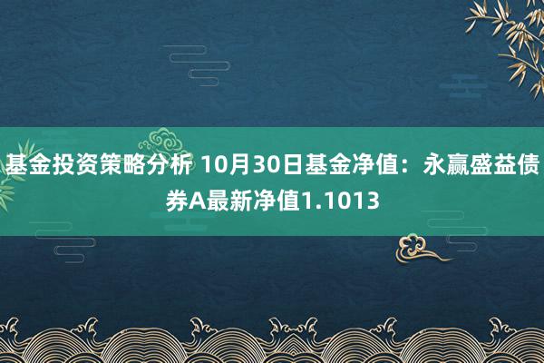 基金投资策略分析 10月30日基金净值：永赢盛益债券A最新净值1.1013