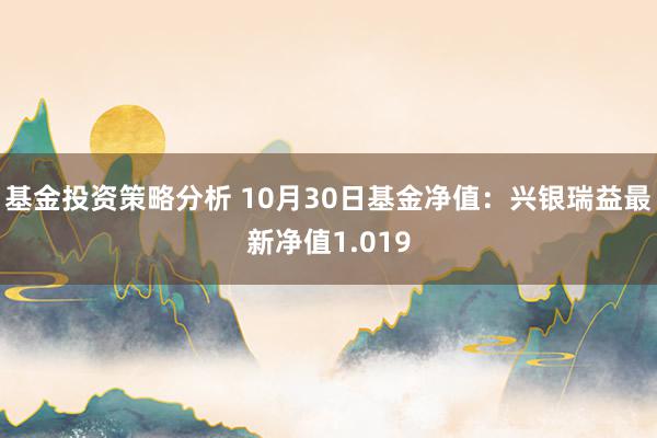 基金投资策略分析 10月30日基金净值：兴银瑞益最新净值1.019