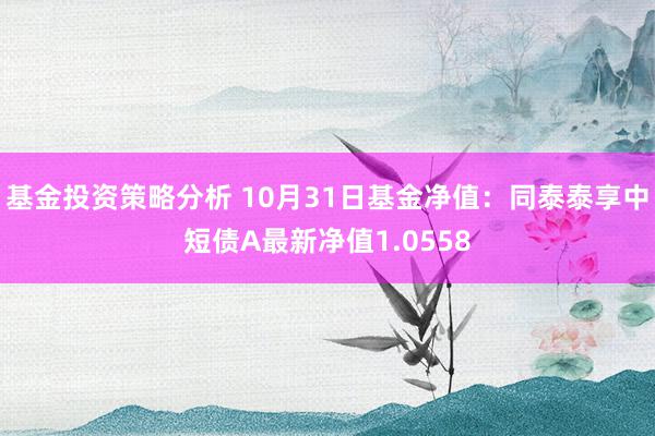 基金投资策略分析 10月31日基金净值：同泰泰享中短债A最新净值1.0558