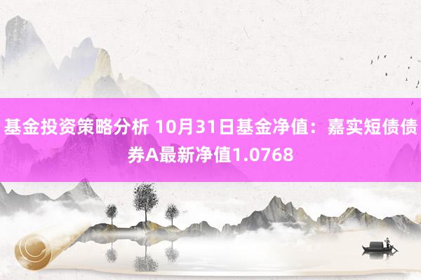 基金投资策略分析 10月31日基金净值：嘉实短债债券A最新净值1.0768