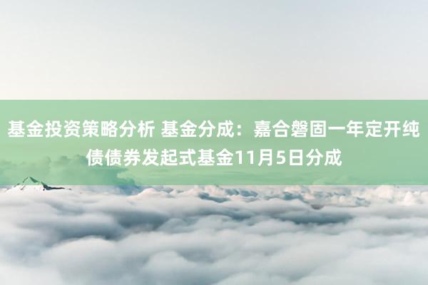 基金投资策略分析 基金分成：嘉合磐固一年定开纯债债券发起式基金11月5日分成