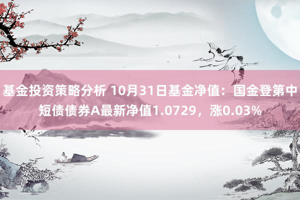 基金投资策略分析 10月31日基金净值：国金登第中短债债券A最新净值1.0729，涨0.03%