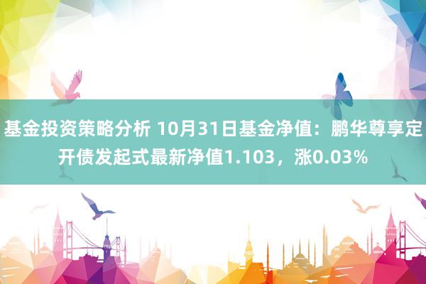 基金投资策略分析 10月31日基金净值：鹏华尊享定开债发起式最新净值1.103，涨0.03%