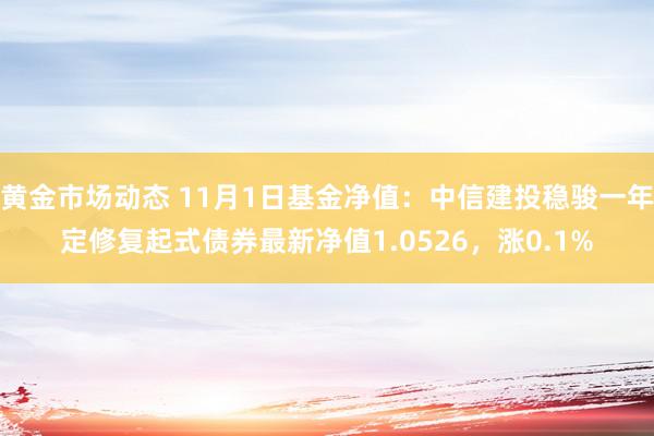 黄金市场动态 11月1日基金净值：中信建投稳骏一年定修复起式债券最新净值1.0526，涨0.1%