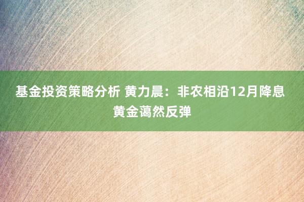 基金投资策略分析 黄力晨：非农相沿12月降息 黄金蔼然反弹