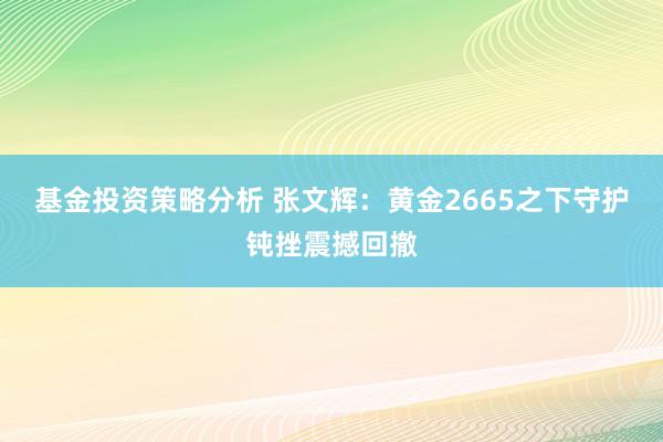 基金投资策略分析 张文辉：黄金2665之下守护钝挫震撼回撤