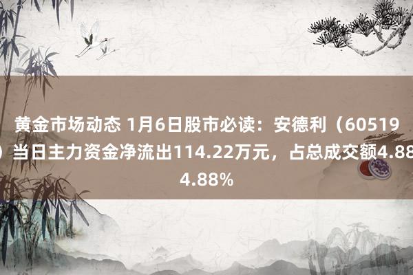 黄金市场动态 1月6日股市必读：安德利（605198）当日主力资金净流出114.22万元，占总成交额4.88%