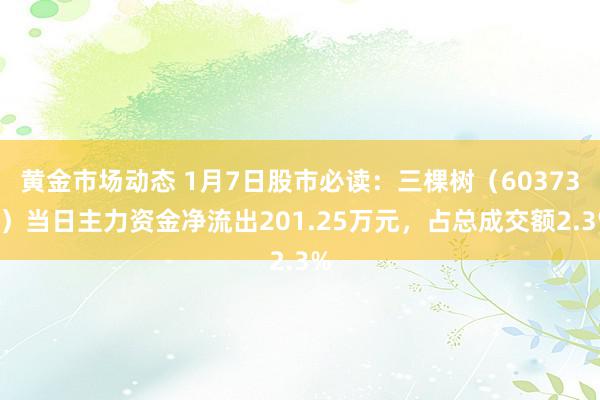 黄金市场动态 1月7日股市必读：三棵树（603737）当日主力资金净流出201.25万元，占总成交额2.3%