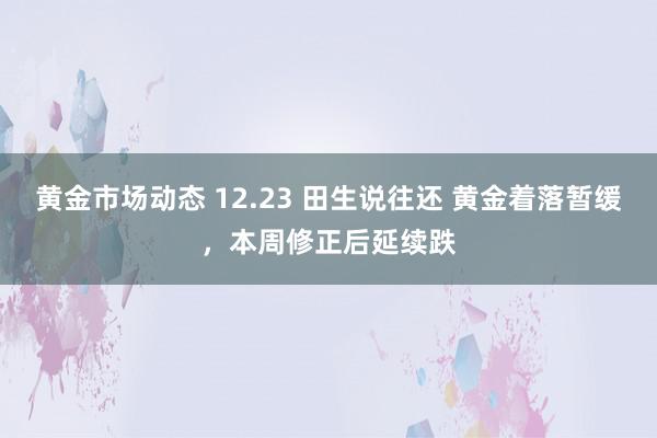 黄金市场动态 12.23 田生说往还 黄金着落暂缓，本周修正后延续跌