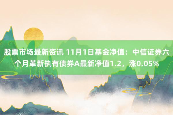 股票市场最新资讯 11月1日基金净值：中信证券六个月革新执有债券A最新净值1.2，涨0.05%