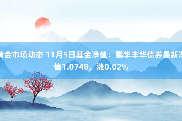 黄金市场动态 11月5日基金净值：鹏华丰华债券最新净值1.0748，涨0.02%