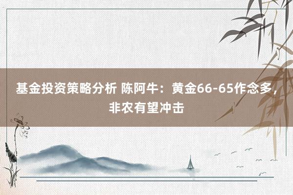 基金投资策略分析 陈阿牛：黄金66-65作念多，非农有望冲击