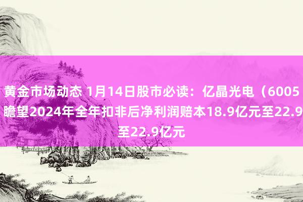 黄金市场动态 1月14日股市必读：亿晶光电（600537）瞻望2024年全年扣非后净利润赔本18.9亿元至22.9亿元