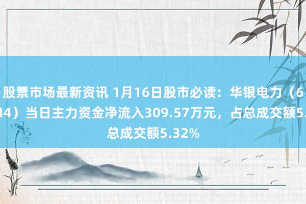 股票市场最新资讯 1月16日股市必读：华银电力（600744）当日主力资金净流入309.57万元，占总成交额5.32%