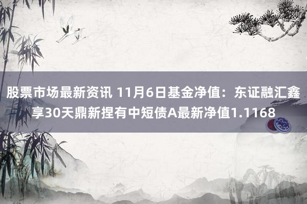 股票市场最新资讯 11月6日基金净值：东证融汇鑫享30天鼎新捏有中短债A最新净值1.1168