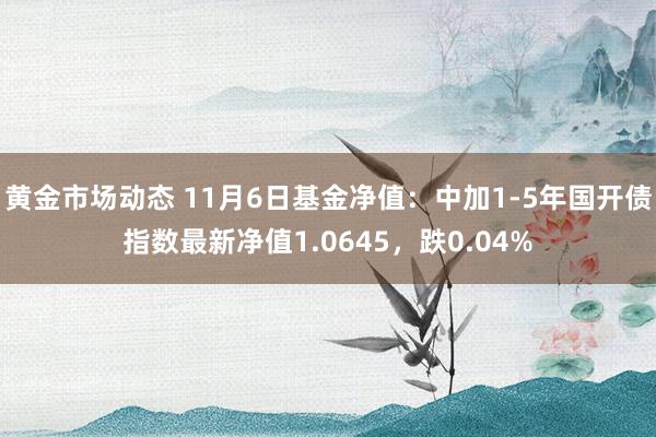 黄金市场动态 11月6日基金净值：中加1-5年国开债指数最新净值1.0645，跌0.04%