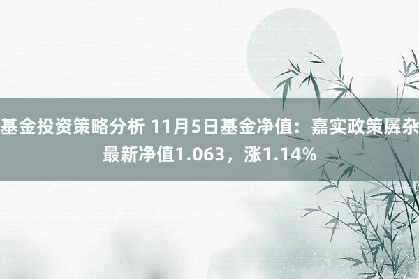 基金投资策略分析 11月5日基金净值：嘉实政策羼杂最新净值1.063，涨1.14%