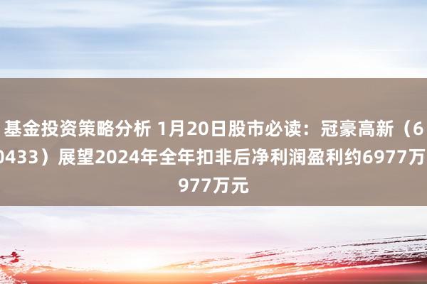 基金投资策略分析 1月20日股市必读：冠豪高新（600433）展望2024年全年扣非后净利润盈利约6977万元