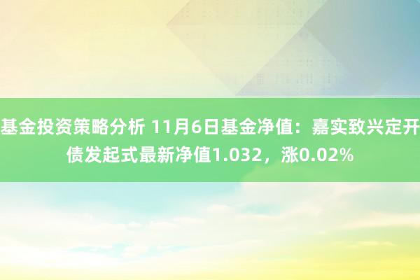 基金投资策略分析 11月6日基金净值：嘉实致兴定开债发起式最新净值1.032，涨0.02%