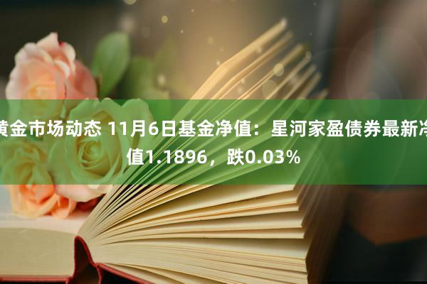 黄金市场动态 11月6日基金净值：星河家盈债券最新净值1.1896，跌0.03%