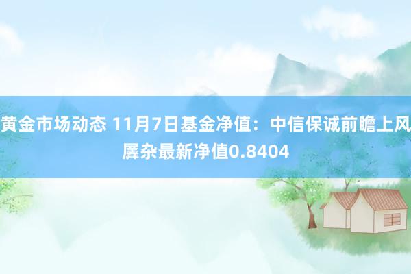 黄金市场动态 11月7日基金净值：中信保诚前瞻上风羼杂最新净值0.8404